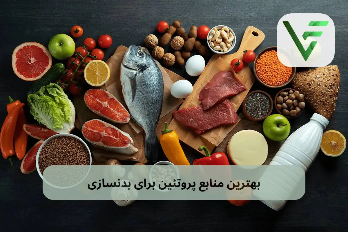 بهترین پروتئین برای بدنسازی ویتامین فیت