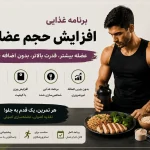 برنامه غذایی افزایش حجم ویتامین فیت