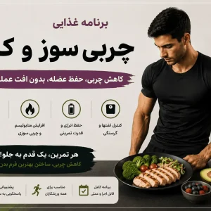 برنامه غذایی چربی سوز و کات ویتامین فیت