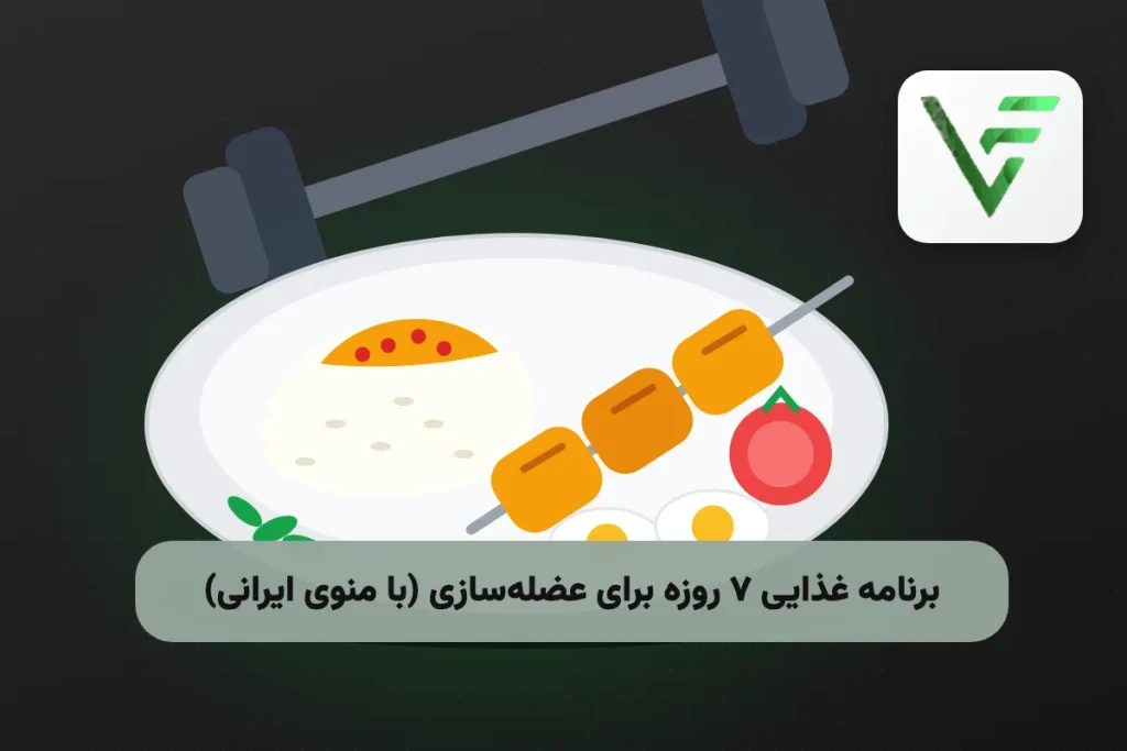 عضله سازی و حجم برنامه بدنسازی ویتامین فیت